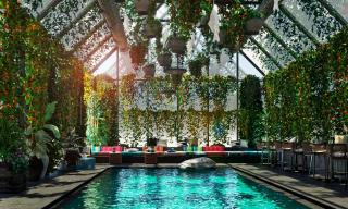 Belle Guldsmeden - 5