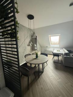 Apartman Zrenjanin - 6