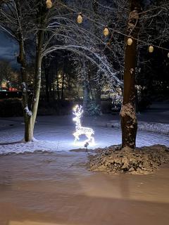 Landhotel Gutshof im Oertzetal in Oldendorf, Südheide - 7
