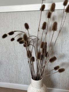 Kustgeluk-Luxe aan Zee, splinternieuw appartement in het hart van Koudekerke - 5