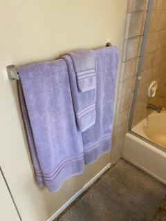 The Giant Forest Suite - 1