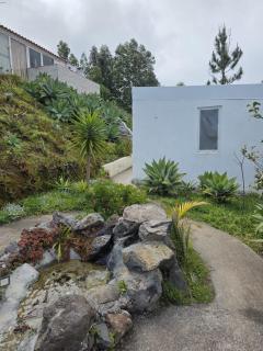 Ocean Heated Pool&Jacuzzi View Violet - 2