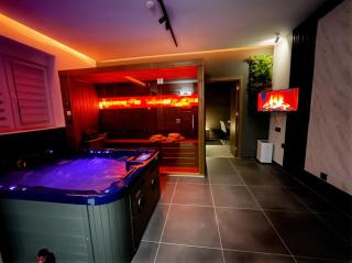 MOZAIK APARTMENTS & SPA - Modern 4-Star Apartments with Exclusive Private SPA WELLNESS in the City Center - SAUNA, JACUZZI, TURKISH BATH - FREE PARKING, Wi-FI - Rooms & Apartments Cuprija - 1