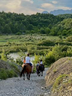 Tringa Guesthouse - Mrizi i Zanave - 6