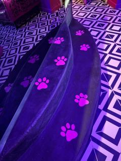 Panthere Rose Jacuzzi, Billard et Ecran Cinéma - 2