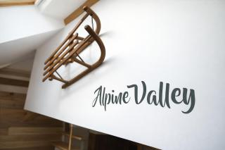 Alpine Valley Disneyland Paris P2 - 7