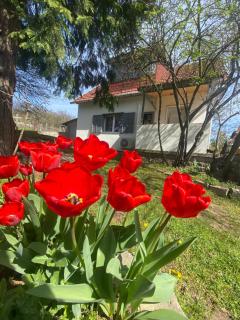 Neve Nincs NYARALÓ - önálló Házikó- privát szféra - 4