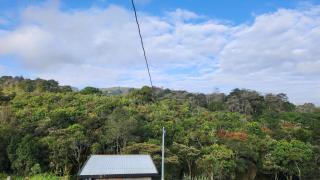 Ventana al bosque - 9