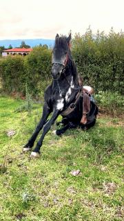 Casa Villa Crisma Luxury - 1