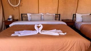 Zeus Sahara Luxury Camp - 6