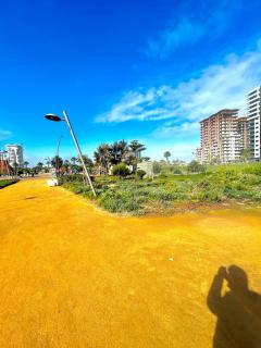 Spacious Studio with Pool & Wi-Fi - 4