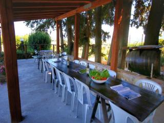 Farmhouse in Umbria near Lake Trasimeno - 6