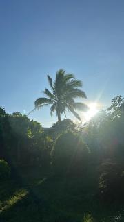 Quinta Miravalles - 7