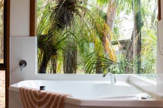 Eumarella Shores Noosa Lake Retreat - 4