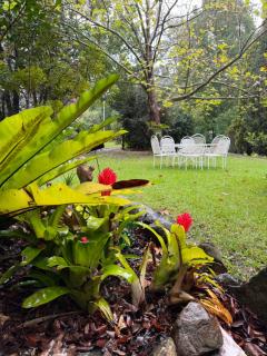Mt Nebo Railway Carriage and Chalet - 5
