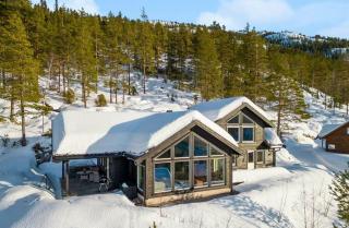 Cabin With Panoramic View Near Gaustatoppen - 9