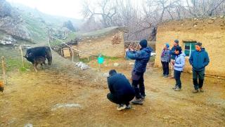 Beautiful resort - 3