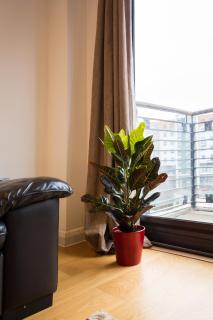 Splendid 2 BDR Apt with Panoramic View, Acton - 5