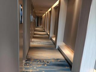 VX Hotel Wuhan Optics Valley Yangjia Bay Metro Station - 7