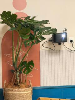 Shanghai Hills & ZINN City Bnb Near Line13 Mid Huaihai Rd & Changle Rd - 4