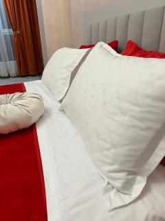 Уютные современные апартаменты в Алматы рядом с MEGA Center - 6