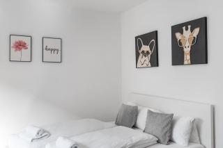 K8 Cityapartments I 60 qm I Zentrum I Friedrichshafen - 7