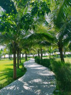 Hải Tiến Resort - 9