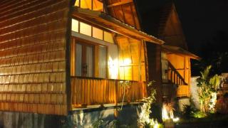 Abimanyu Ubud Villas - 9