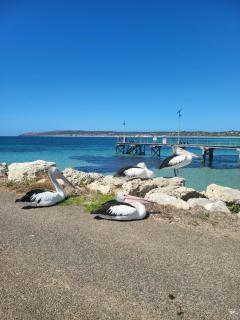 SeaShore GateAway Home -special prices in Esplanade & Buller St Kingscote-contact us now for the best deal - 2