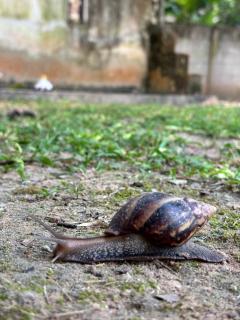 Tranquil Wooden Holiday House with Mountain Views in Pa Phai - 5