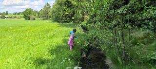 Camping auf der Alm - 4