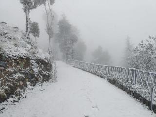 Hadley inn cottages Chail - 9