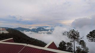 Hadley inn cottages Chail - 4