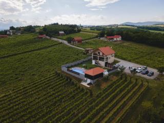 Vineyard Vila 01 by GREEN Croatia - 9