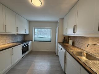 Spacious apartment in Follebu - 3