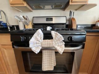 2BR Near Obama Presidential Ctr and UofC Med Ctr - 6