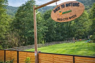 Cozy Glamping Cabin for Couples and Families - 6