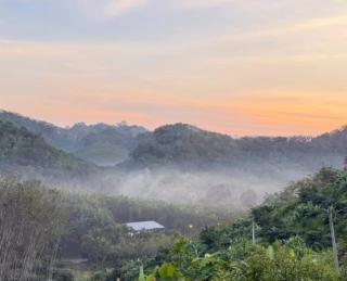 Klang Suan 68 Palm Garden Near Phuket - 0