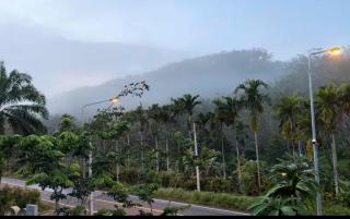 Klang Suan 68 Palm Garden Near Phuket - 6