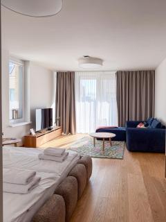 Studio Vydrica - Close to River, Castle, Centre, AC - 9