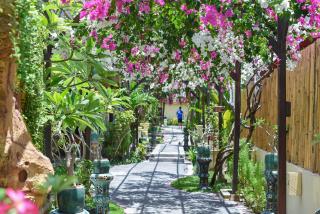 Villa Almarik Resort - Gili Trawangan - 2