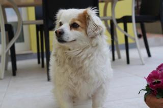 Il silenzio delle colline Umbre - 4