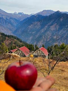 Wild Rupi - The Ridge Cottages - 9