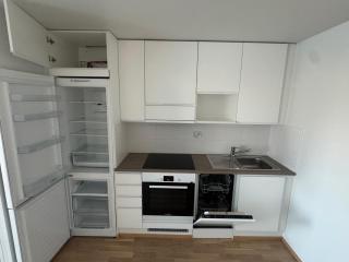 Lapland Apartments III with Wi-Fi, sauna, free parking next to the railway station - 4