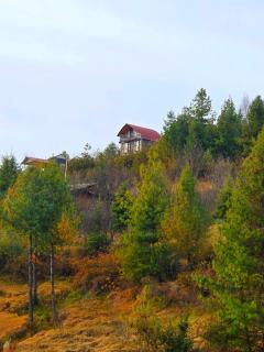 Wild Rupi - The Ridge Cottages - 7