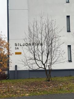 Lapland Apartments III with Wi-Fi, sauna, free parking next to the railway station - 1