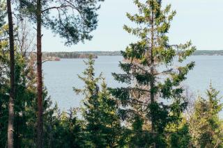 Secluded Island Cabin With Lake View - 9