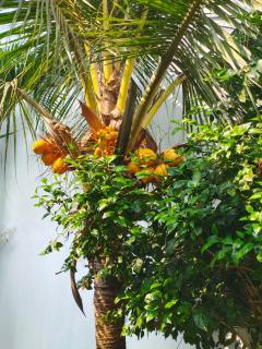 Travel x Living Suites & Cultural Experiences Colombo - 4