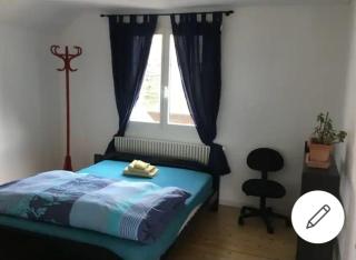 Country house with large garden - 4