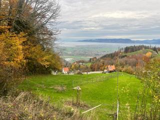Panorama Ferien in Walzenhausen mit See und Bergblick, Willkommen bei MOVIDA - 6